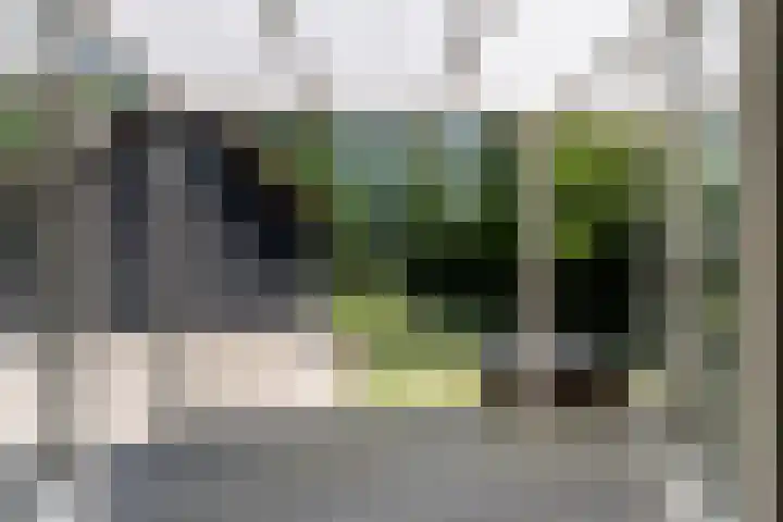 Oudeland 6 Tholen thumbnail 32