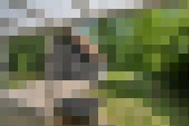 Oudeland 6 Tholen thumbnail 33