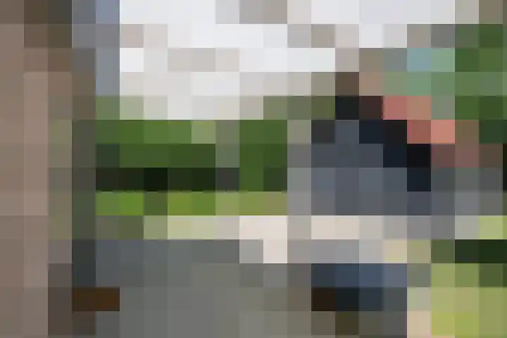 Oudeland 6 Tholen thumbnail 34