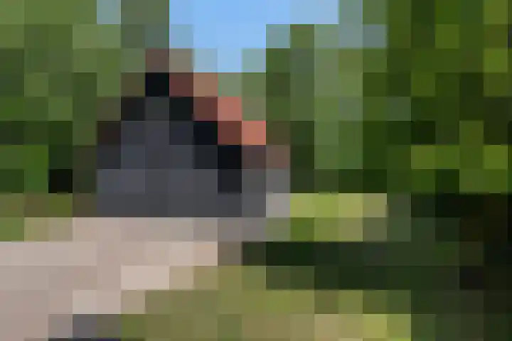 Oudeland 6 Tholen thumbnail 36