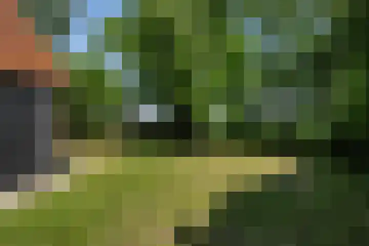 Oudeland 6 Tholen thumbnail 37