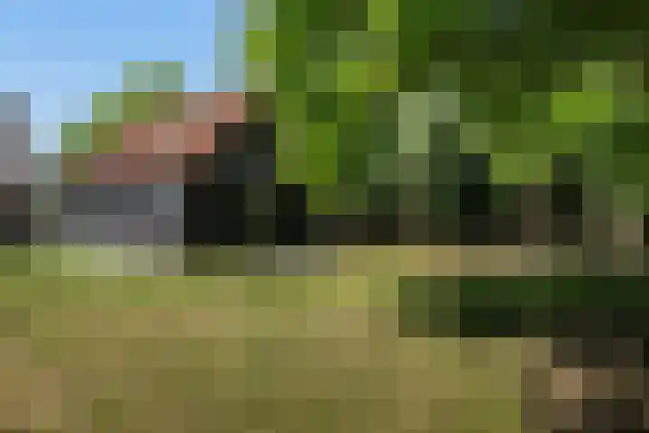 Oudeland 6 Tholen thumbnail 39