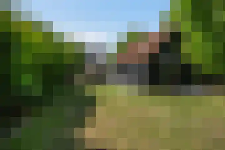 Oudeland 6 Tholen thumbnail 4