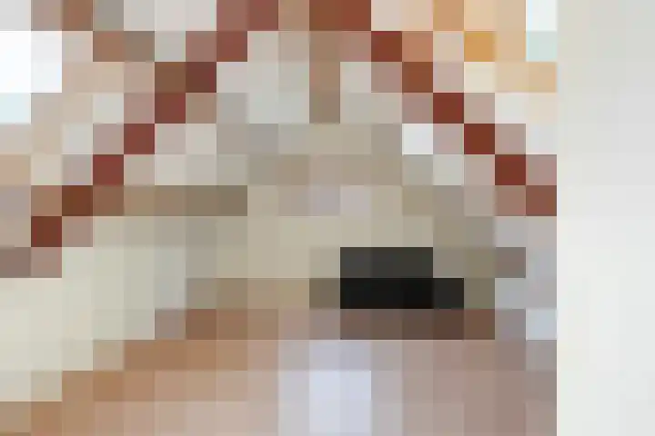 Oudeland 6 Tholen thumbnail 43