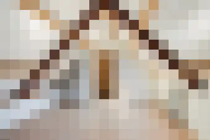Oudeland 6 Tholen thumbnail 44