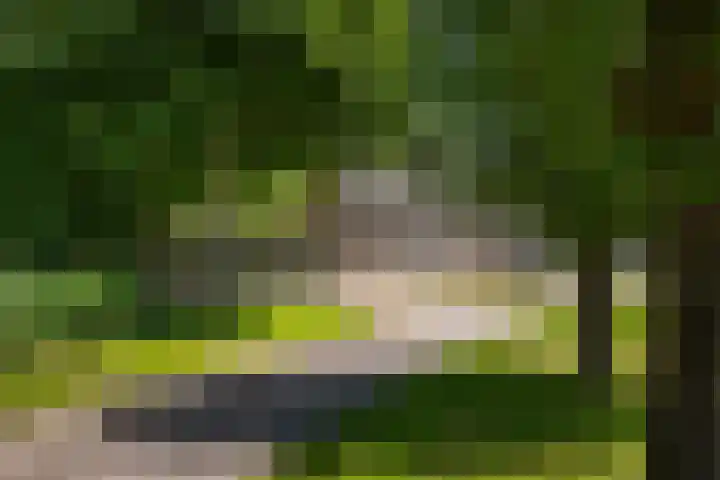 Oudeland 6 Tholen thumbnail 46
