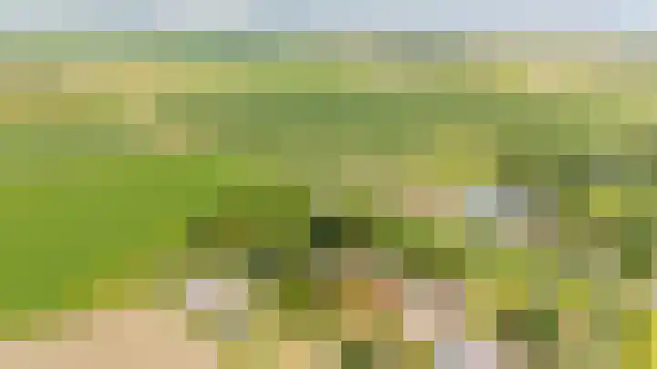 Oudeland 6 Tholen thumbnail 47