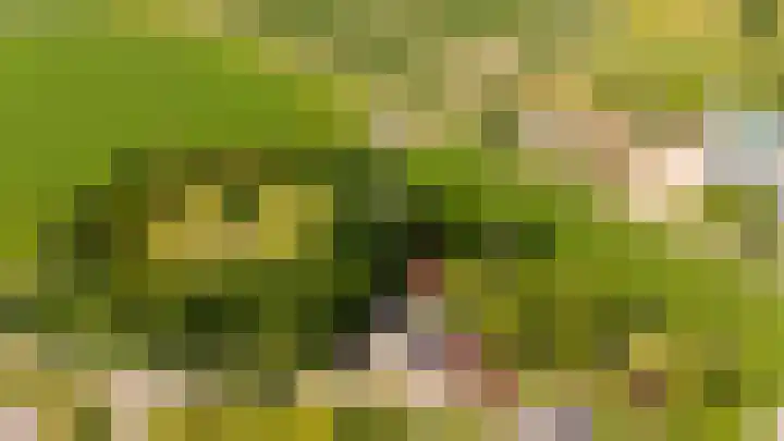 Oudeland 6 Tholen thumbnail 48