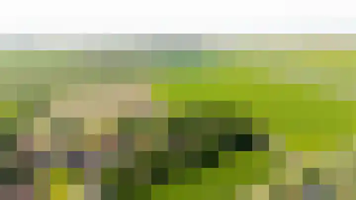 Oudeland 6 Tholen thumbnail 49