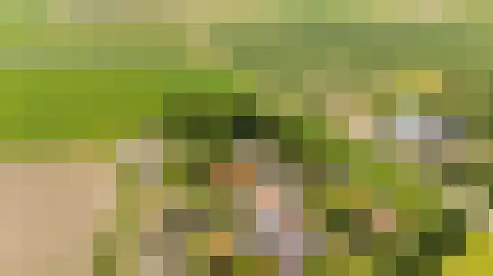 Oudeland 6 Tholen thumbnail 5