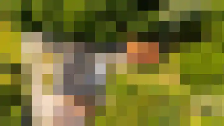 Oudeland 6 Tholen thumbnail 50