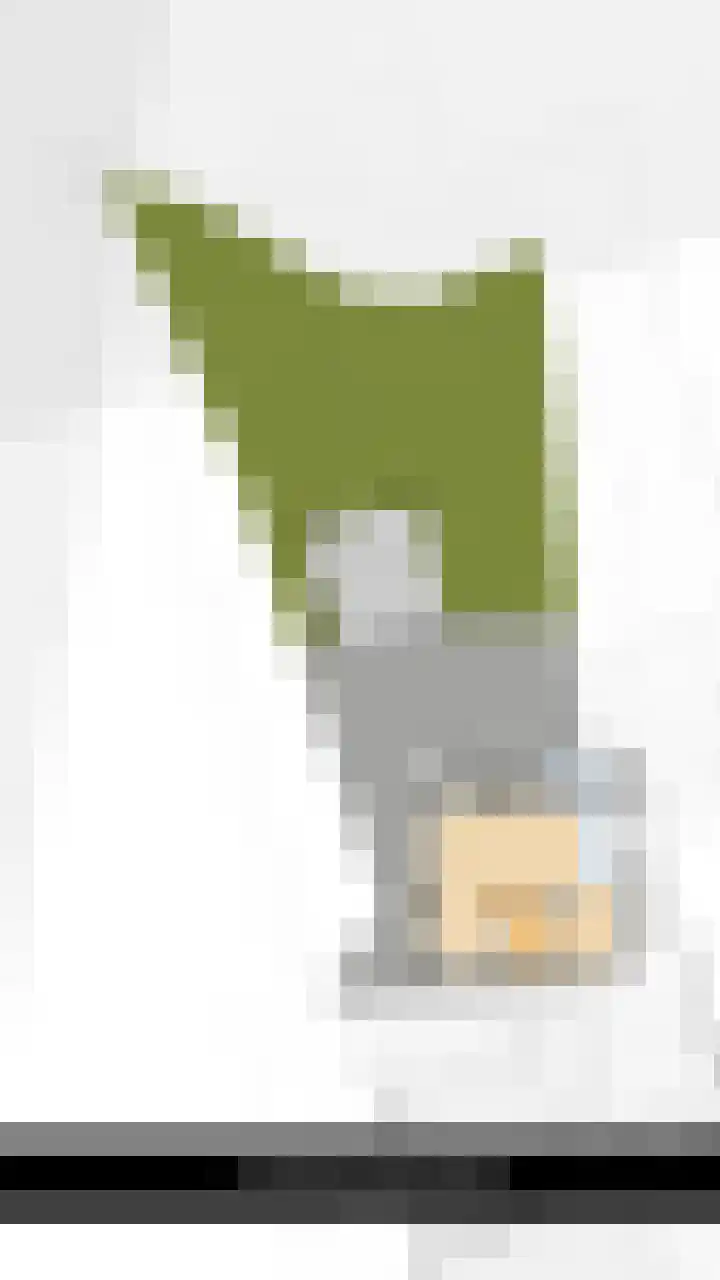 Oudeland 6 Tholen thumbnail 53