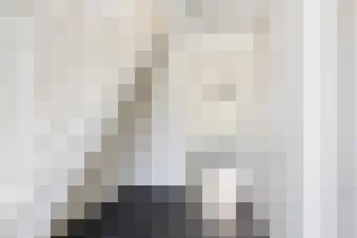 Oudeland 6 Tholen thumbnail 7