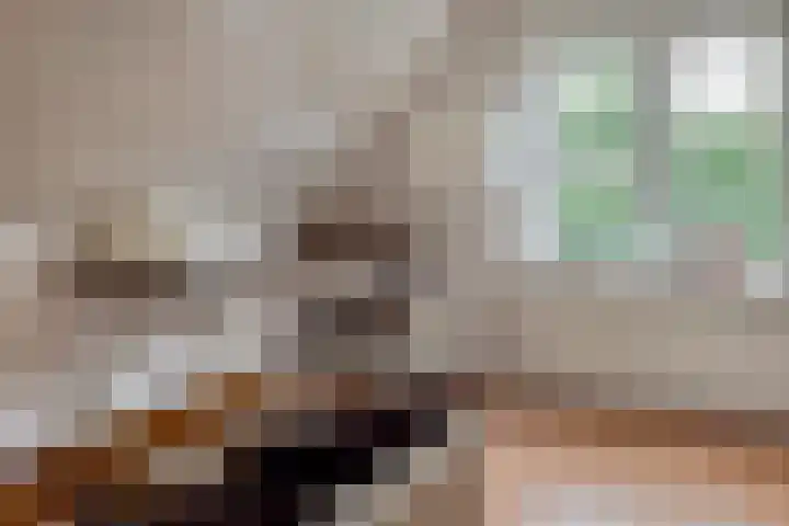 Oudelanderweg 37 Middenmeer thumbnail 14