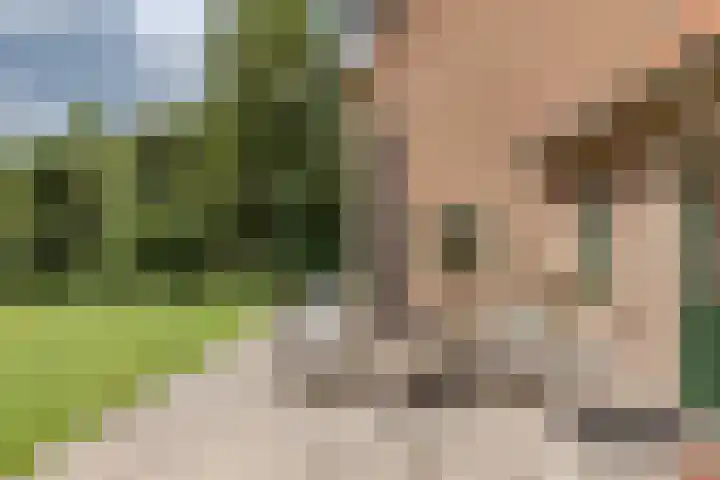 Oudelanderweg 37 Middenmeer thumbnail 25