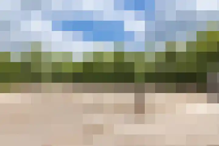 Oudelanderweg 37 Middenmeer thumbnail 27