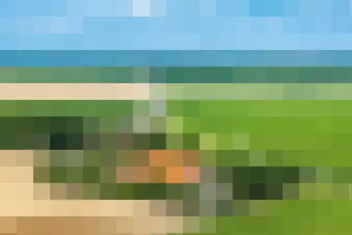 Oudelanderweg 37 Middenmeer thumbnail 30