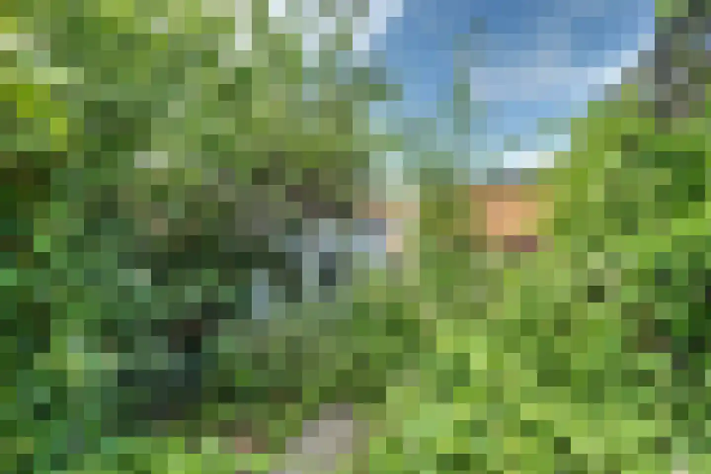 Oudelandsedijk 15 Middelharnis thumbnail 24