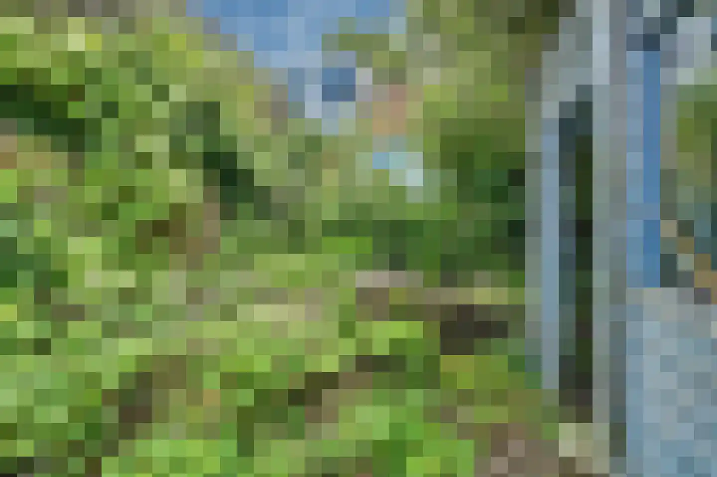 Oudelandsedijk 15 Middelharnis thumbnail 25