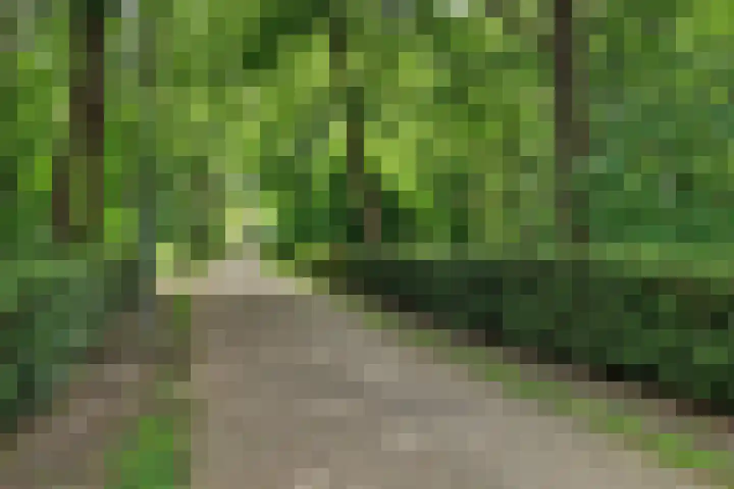 Oudelandsedijk 15 Middelharnis thumbnail 4