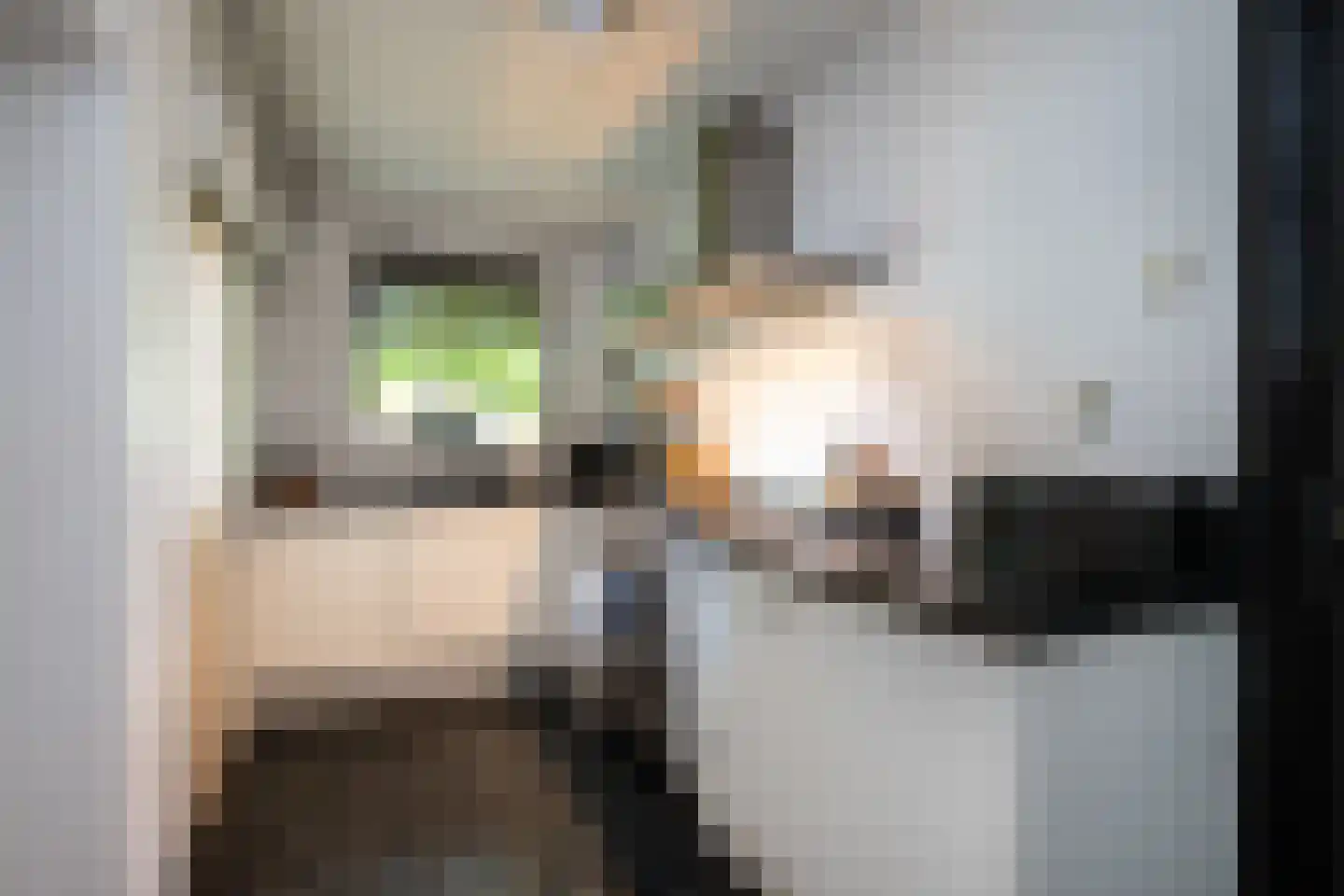 Oudelandsedijk 39 Sommelsdijk thumbnail 17