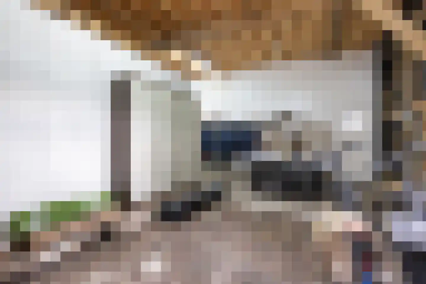 Oudelandsedijk 39 Sommelsdijk thumbnail 26