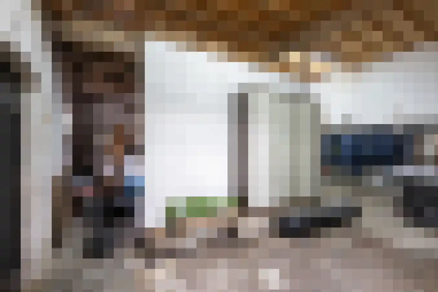 Oudelandsedijk 39 Sommelsdijk thumbnail 27