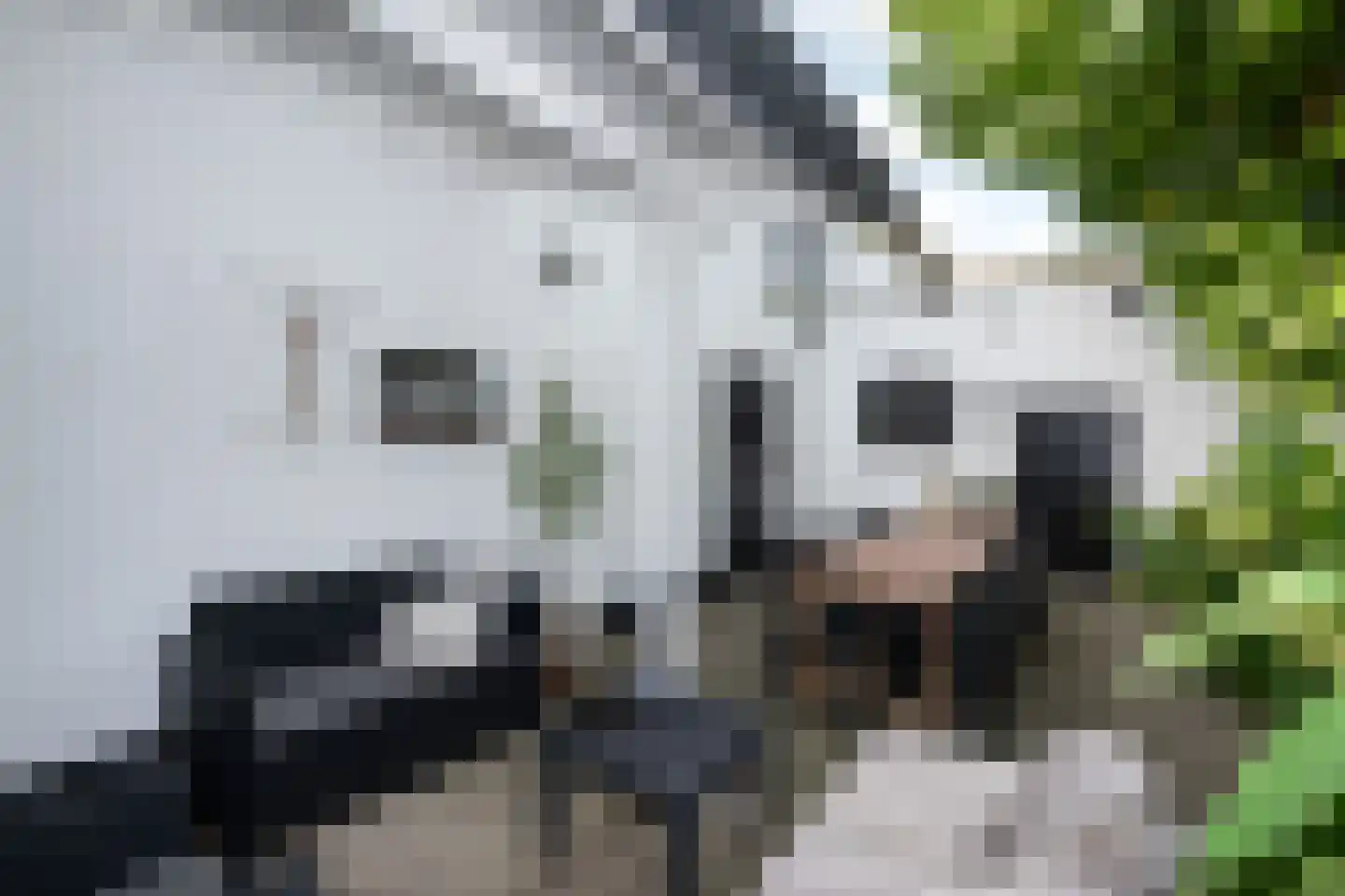 Oudelandsedijk 39 Sommelsdijk thumbnail 35