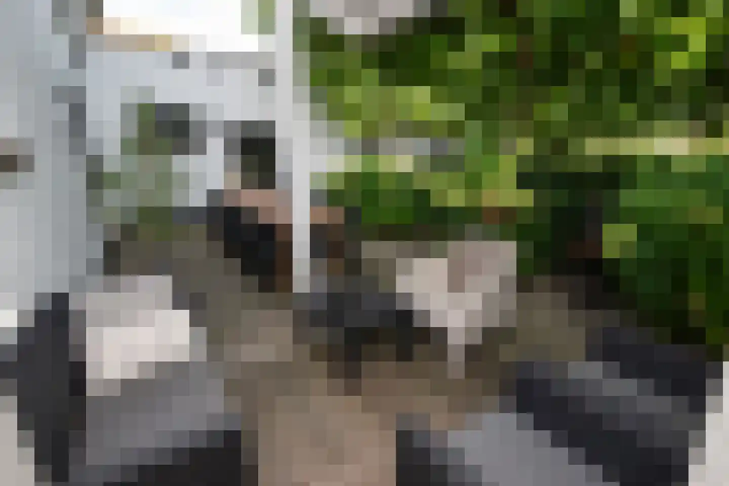 Oudelandsedijk 39 Sommelsdijk thumbnail 36