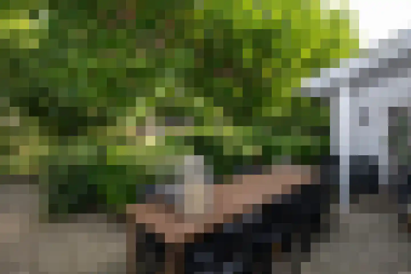 Oudelandsedijk 39 Sommelsdijk thumbnail 37