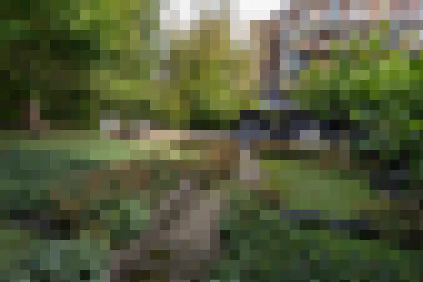 Oudelandsedijk 39 Sommelsdijk thumbnail 38
