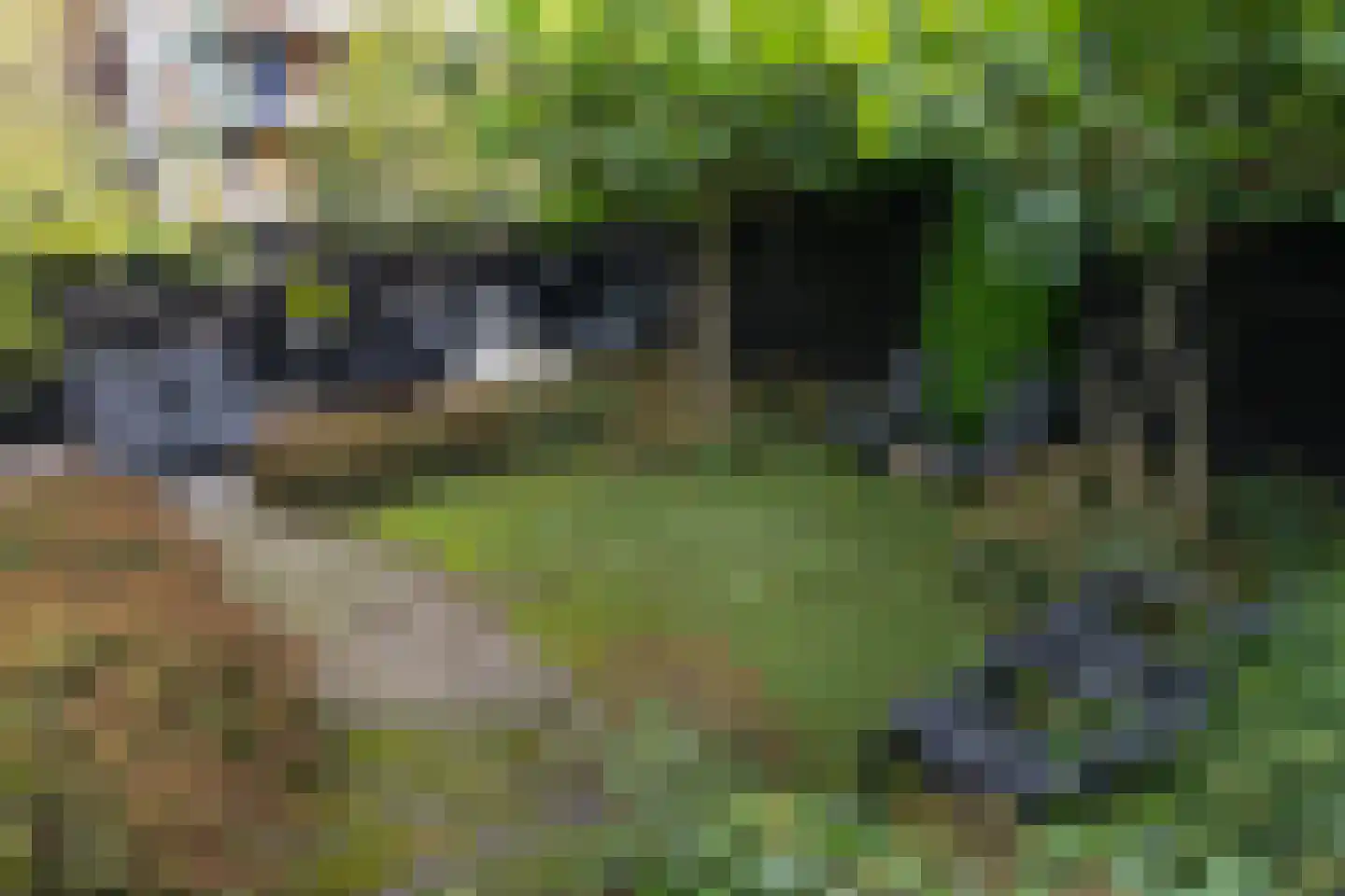 Oudelandsedijk 39 Sommelsdijk thumbnail 39