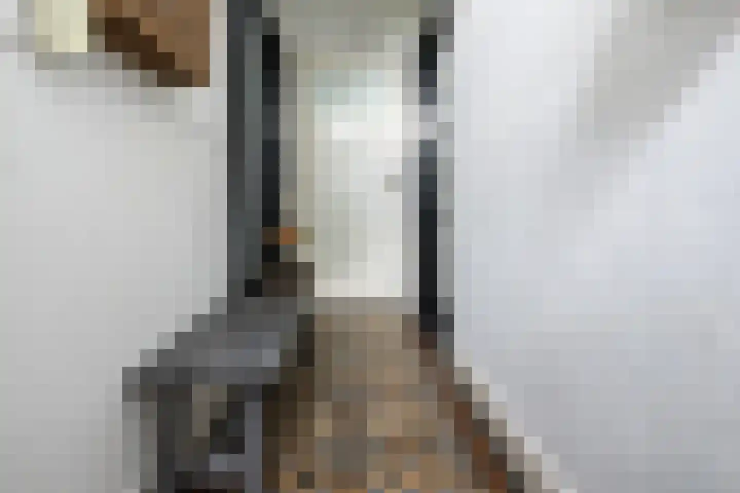 Oudelandsedijk 39 Sommelsdijk thumbnail 4