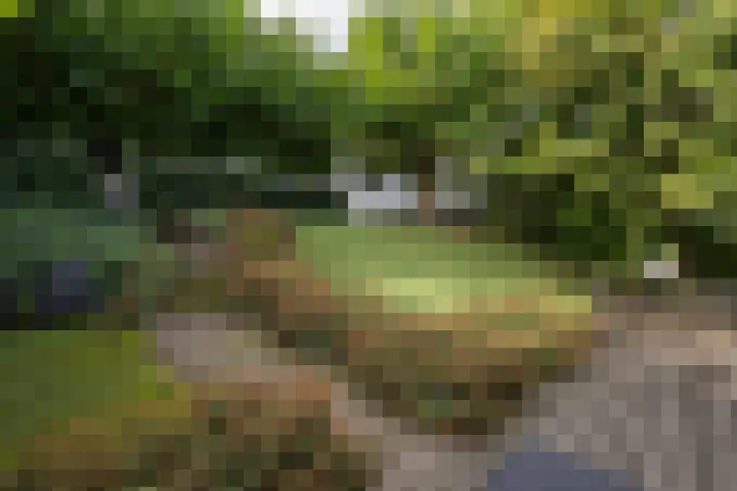 Oudelandsedijk 39 Sommelsdijk thumbnail 40