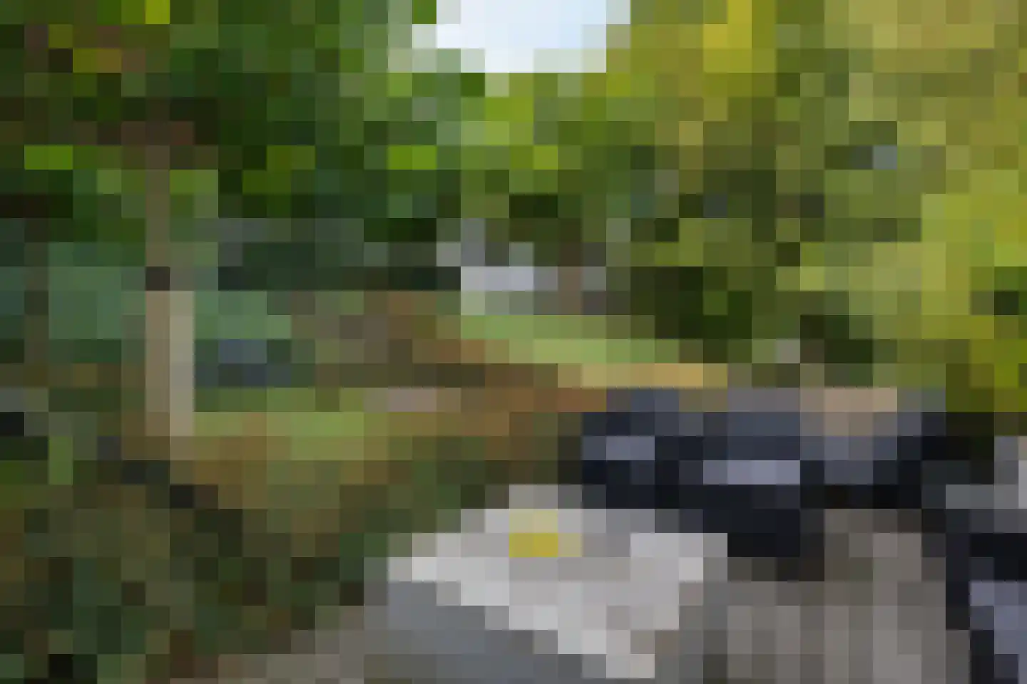 Oudelandsedijk 39 Sommelsdijk thumbnail 41
