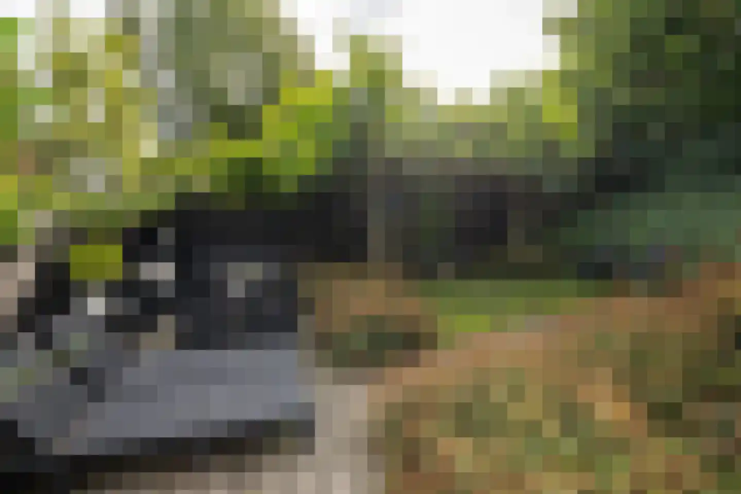 Oudelandsedijk 39 Sommelsdijk thumbnail 42
