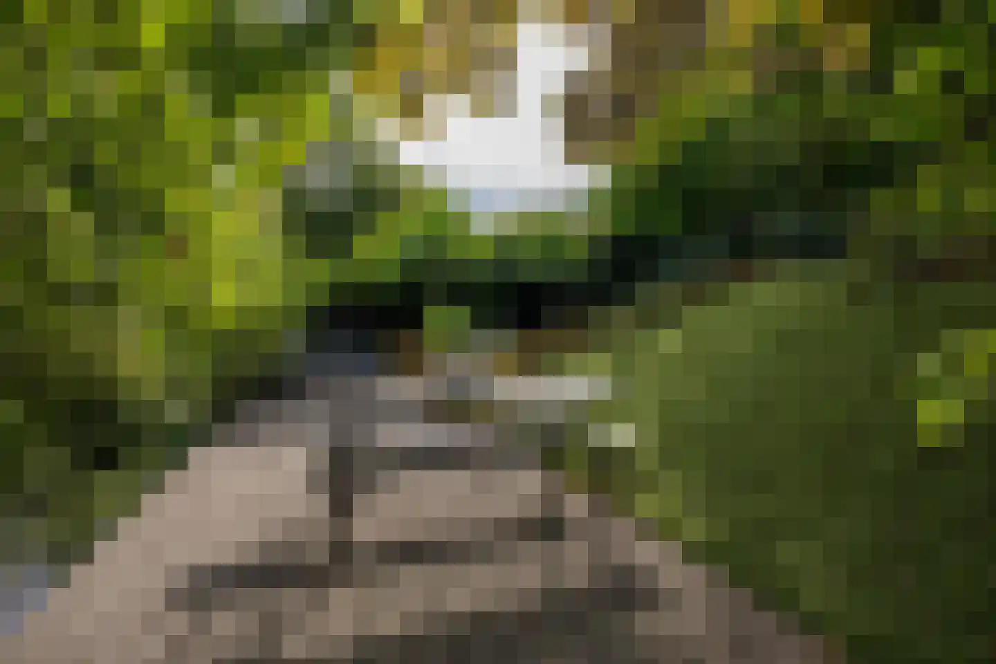 Oudelandsedijk 39 Sommelsdijk thumbnail 43