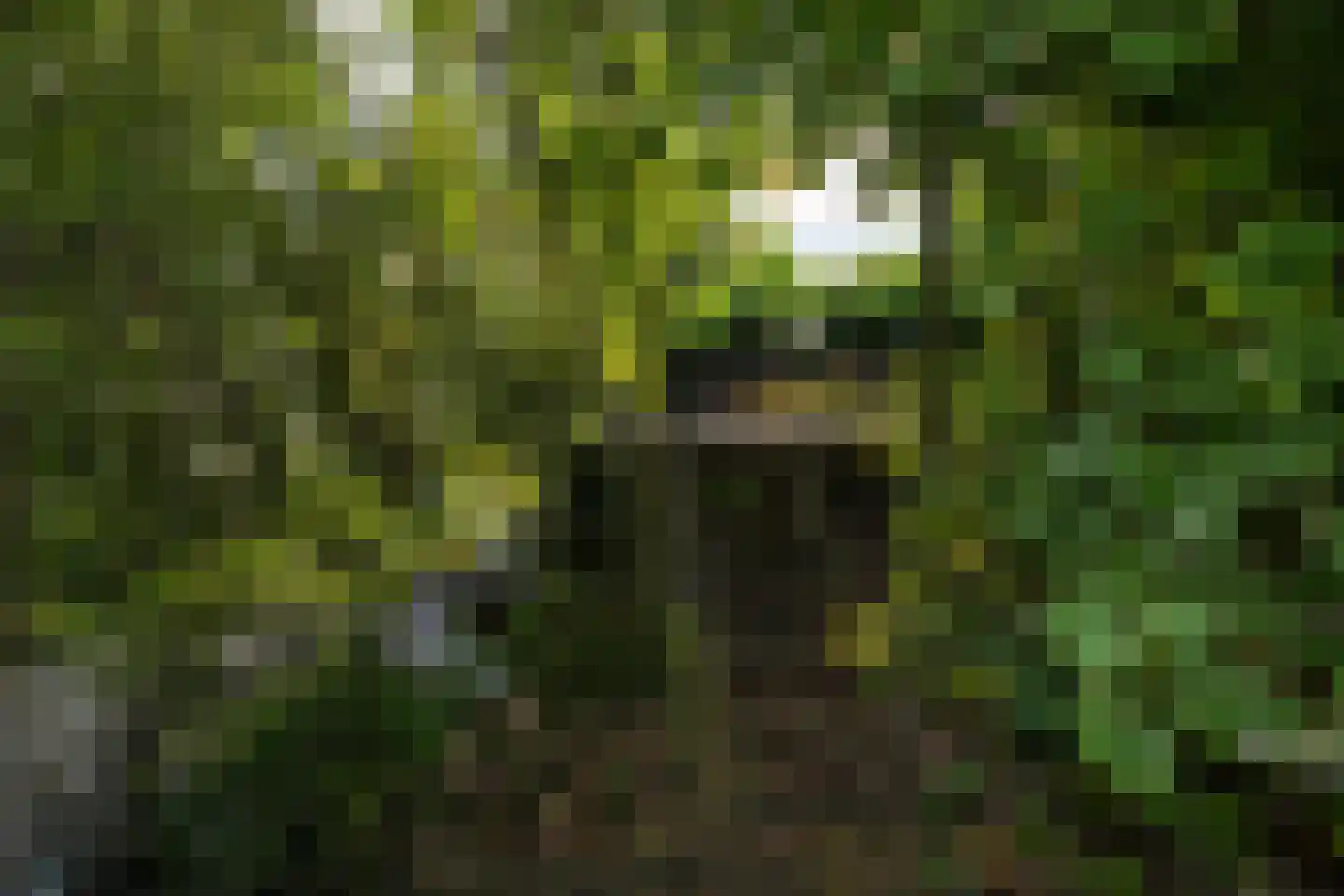 Oudelandsedijk 39 Sommelsdijk thumbnail 44