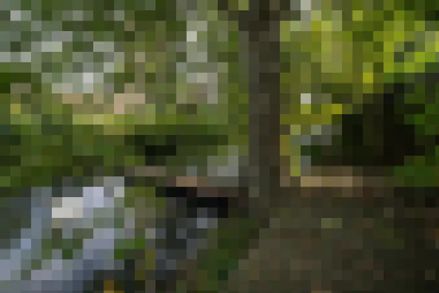 Oudelandsedijk 39 Sommelsdijk thumbnail 45