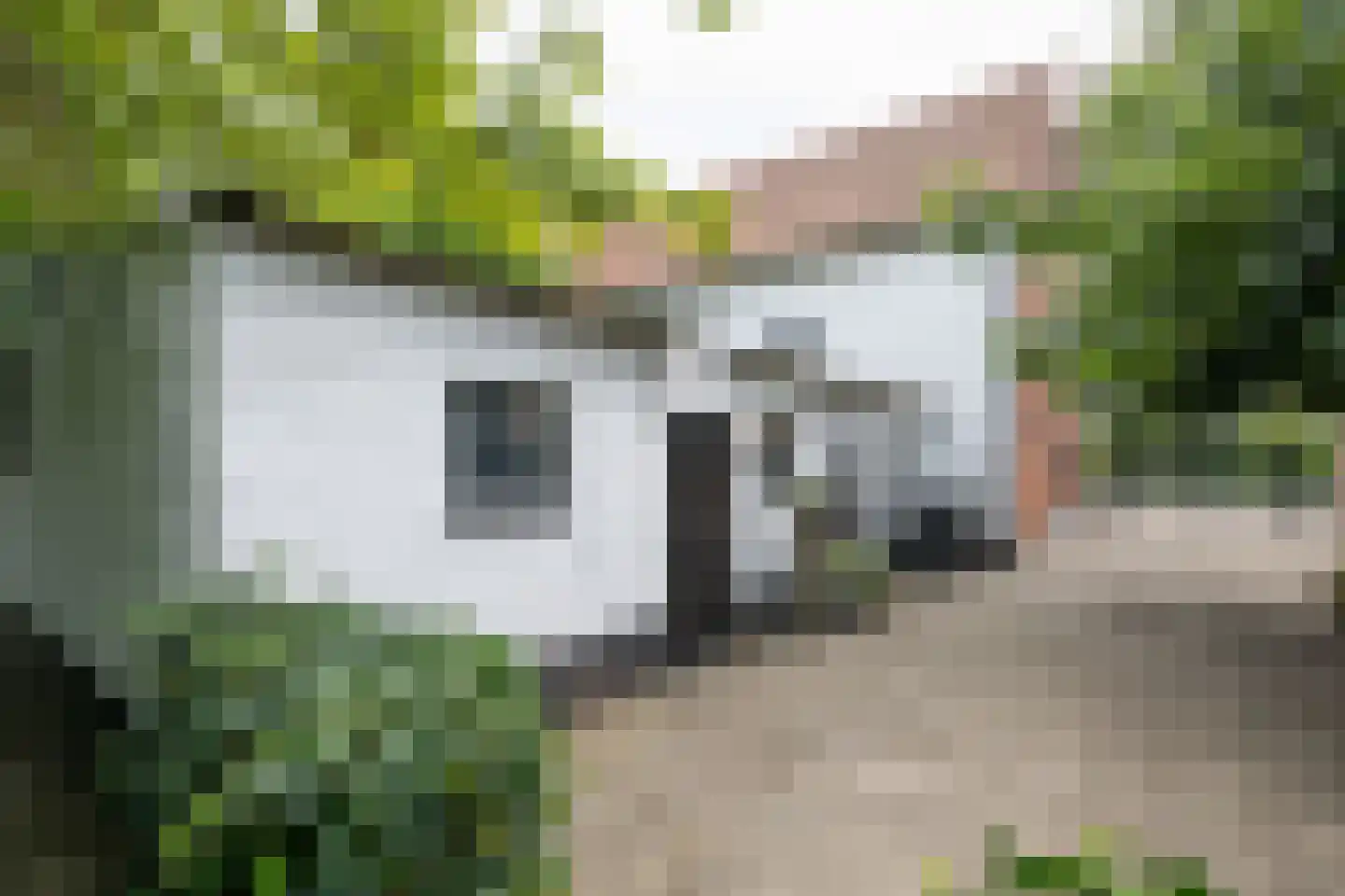 Oudelandsedijk 39 Sommelsdijk thumbnail 47