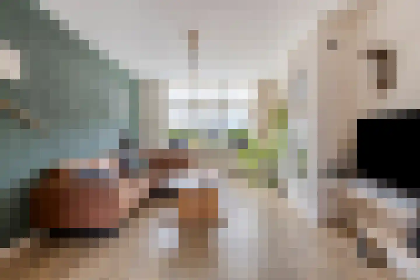Oudelandsedijk 41 Sommelsdijk thumbnail 10