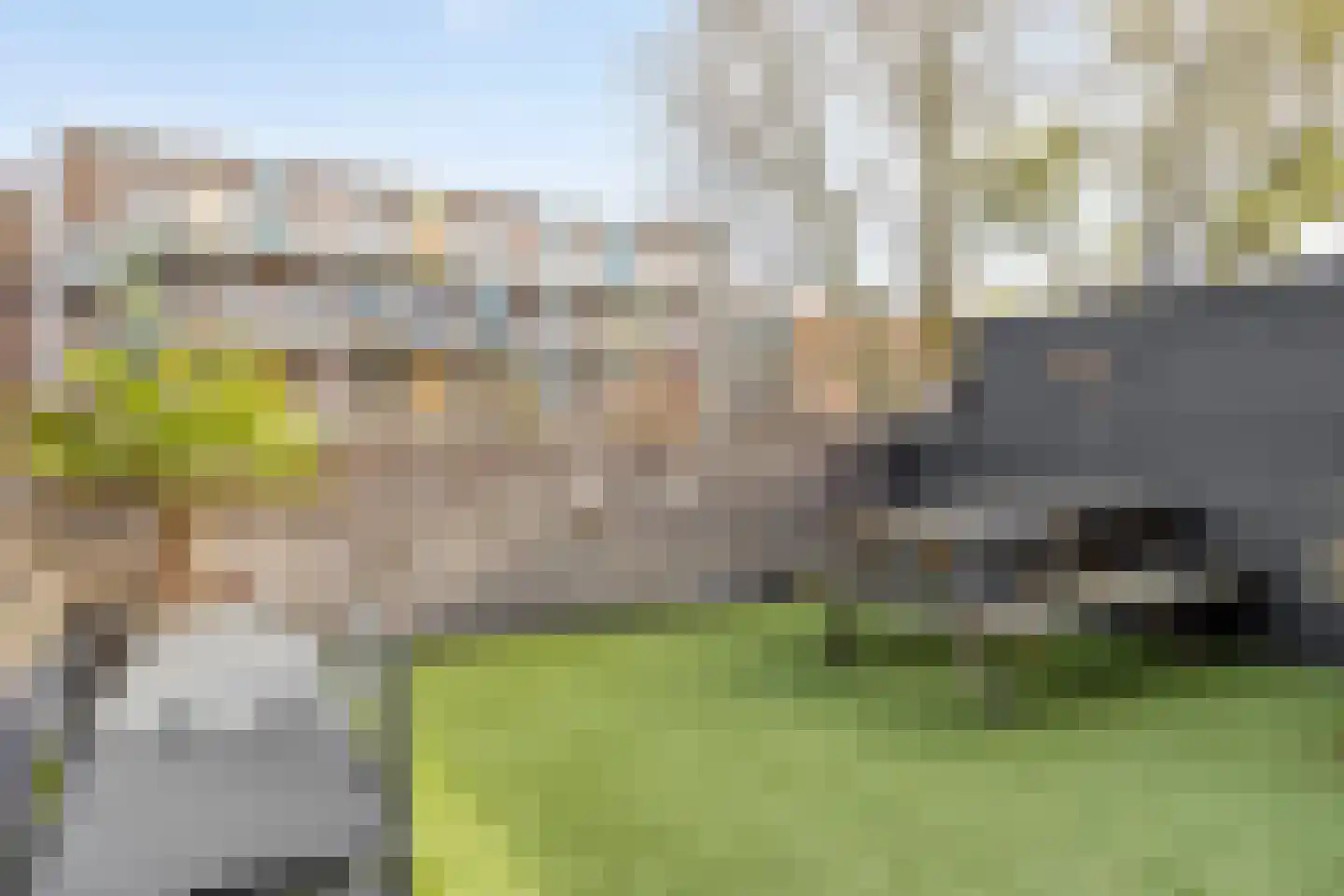 Oudelandsedijk 41 Sommelsdijk thumbnail 31