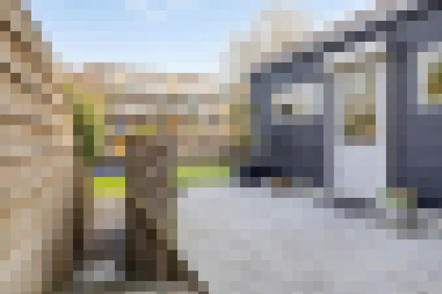 Oudelandsedijk 41 Sommelsdijk thumbnail 32