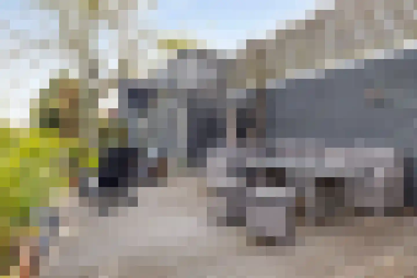 Oudelandsedijk 41 Sommelsdijk thumbnail 34