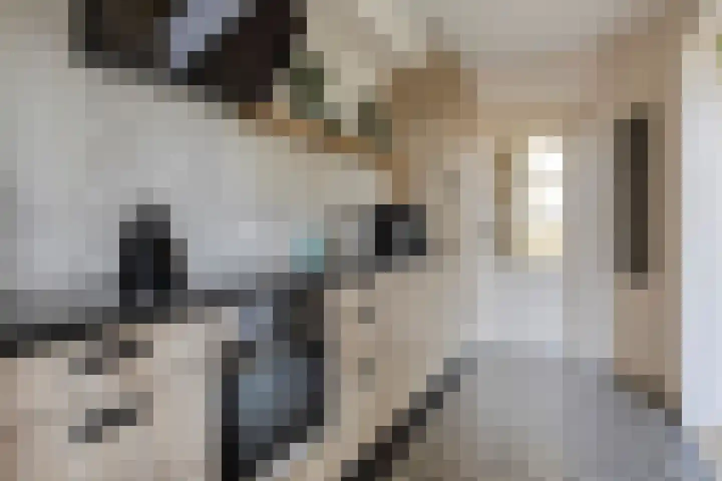 Oudelandsedijk 41 Sommelsdijk thumbnail 4