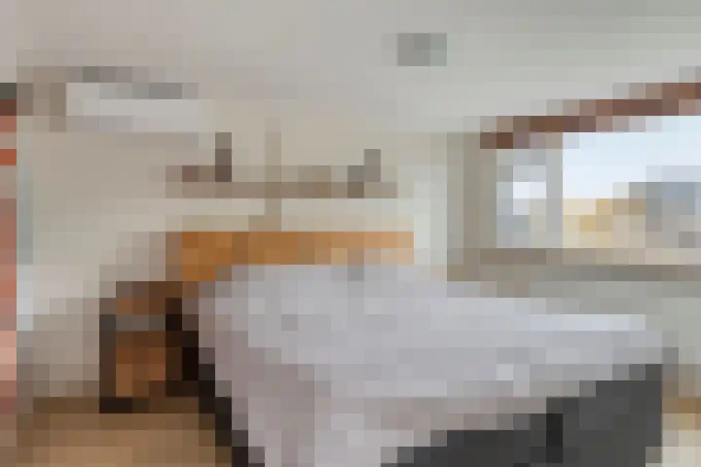 Oudelandsedijk 41 Sommelsdijk thumbnail 5