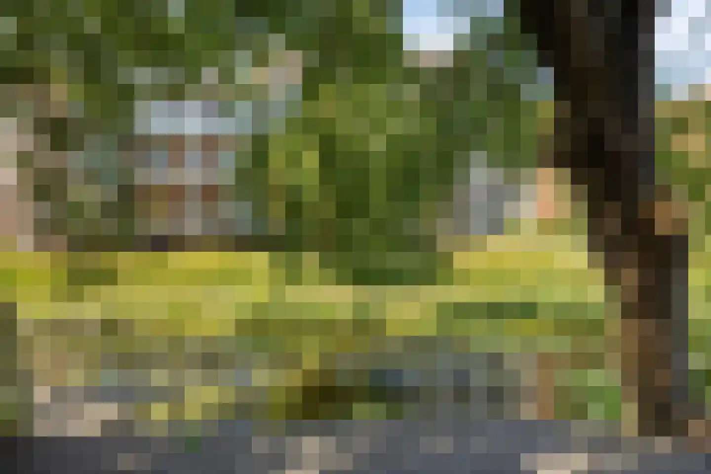 Oudelandsedijk 45 Sommelsdijk thumbnail 20