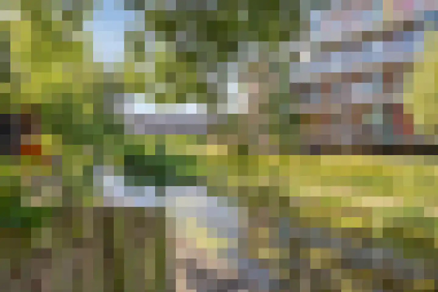 Oudelandsedijk 45 Sommelsdijk thumbnail 21