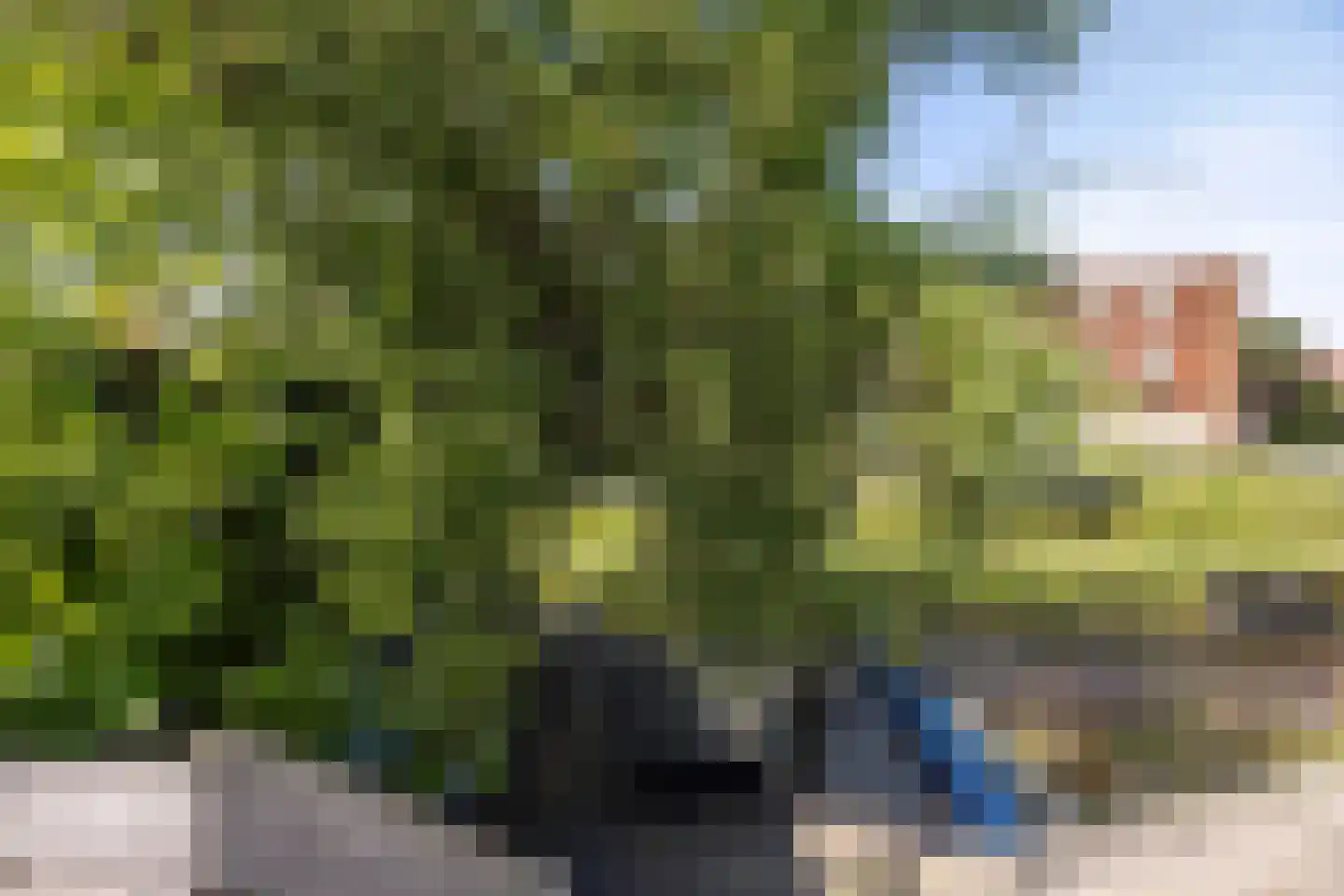 Oudelandsedijk 45 Sommelsdijk thumbnail 23