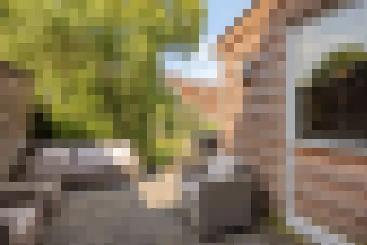 Oudelandsedijk 45 Sommelsdijk thumbnail 24